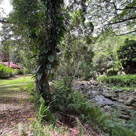 Evasion Bungalow Tropical Spa Sarraméa Kültér fotó