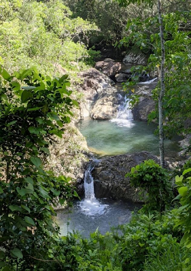 Evasion Bungalow Tropical Spa Sarraméa Kültér fotó
