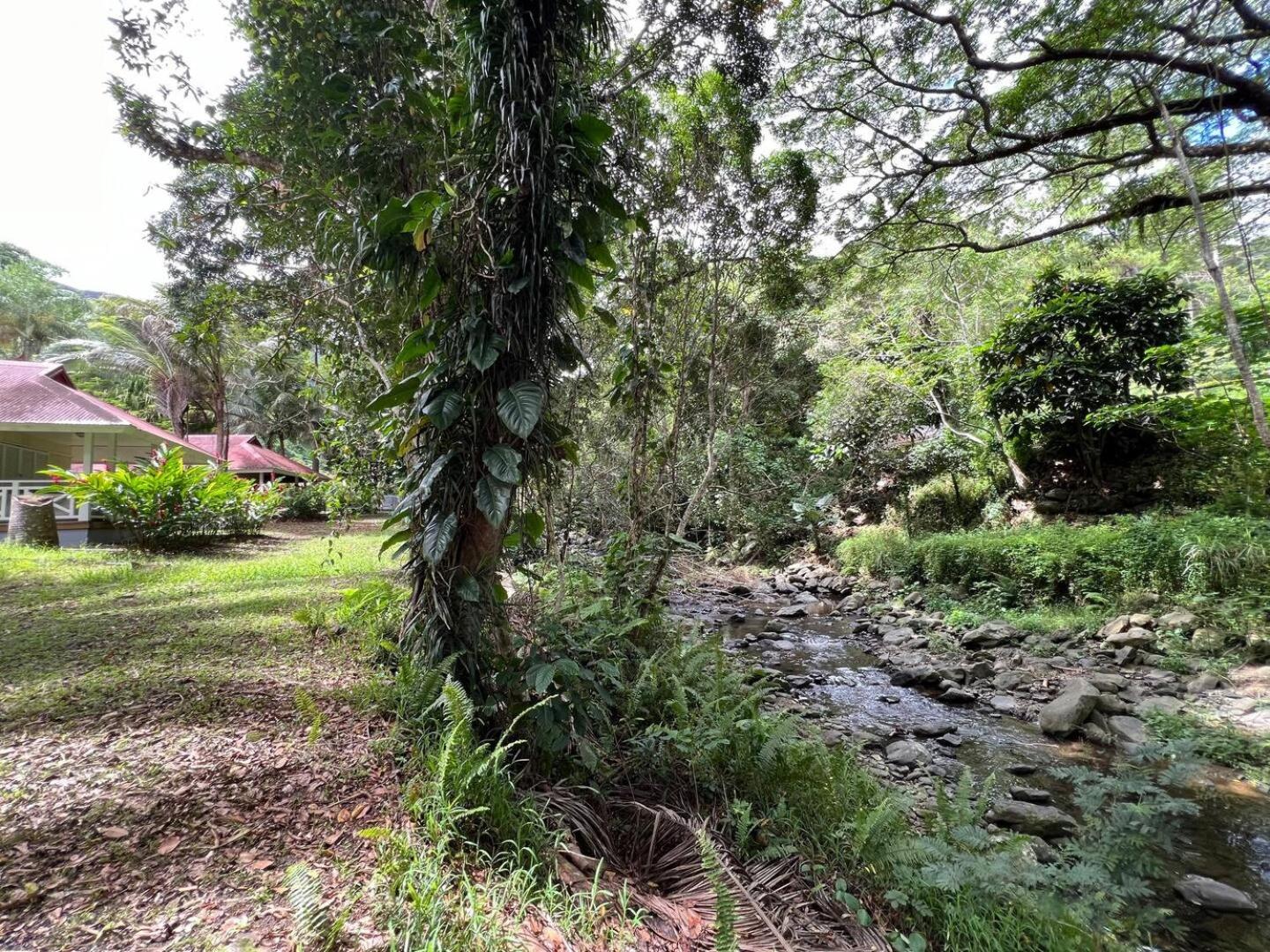 Evasion Bungalow Tropical Spa Sarraméa Kültér fotó