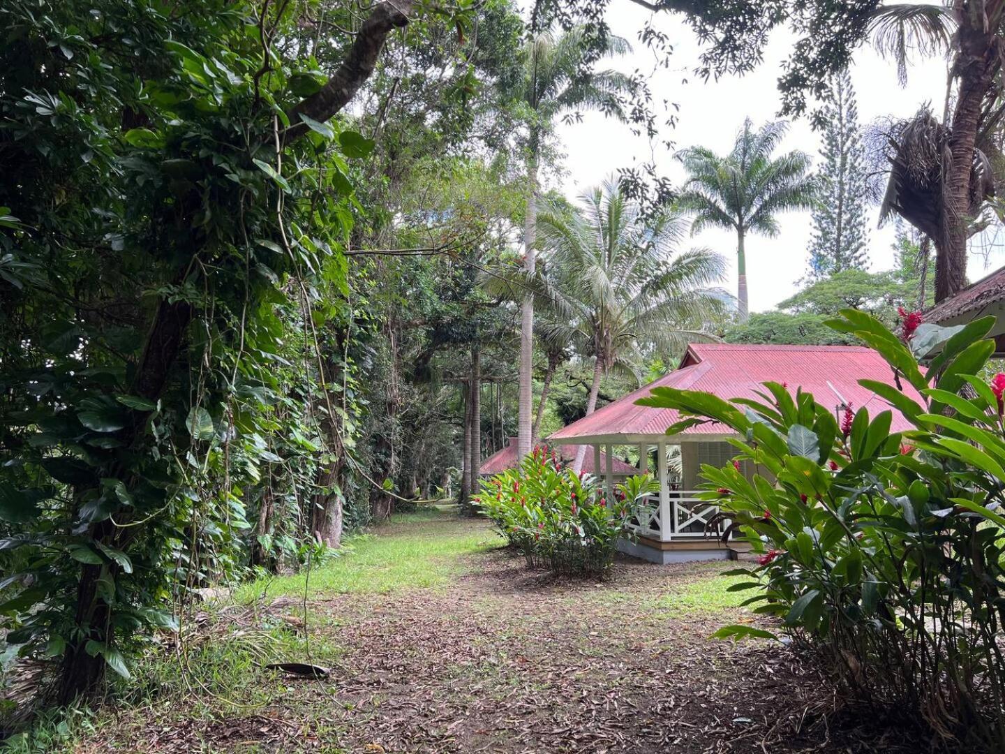 Evasion Bungalow Tropical Spa Sarraméa Kültér fotó